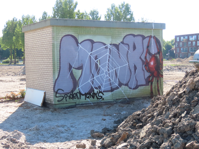 912875 Afbeelding van een hoogspanningshuisje met de graffiti SpiderMGNKS, bij de opgraving op zoek naar Romeinse ...